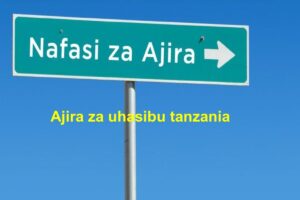 Ajira za Uhasibu Tanzania (2025): Mwongozo Kamili