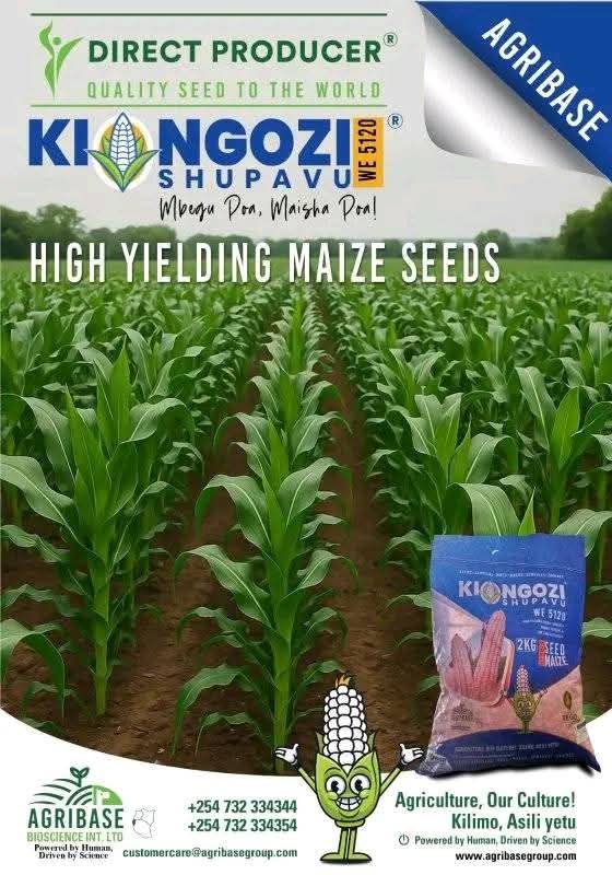 KIONGOZI SHUPAVU WE 5120