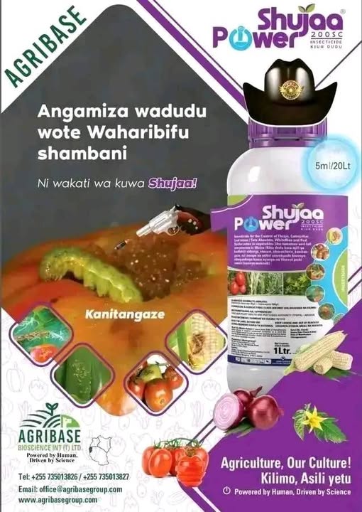 SHUJAA POWER 200 SC