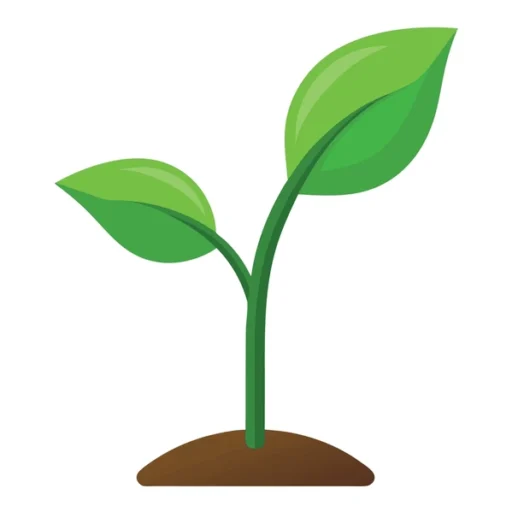 Matokeo ya Darasa la Nne 2025/26 Rukwa