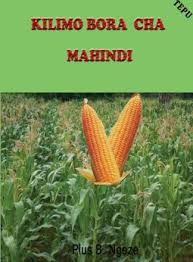 Miongozo 5 ya Kilimo Bora cha Mahindi: Jinsi ya kuvuna gunia 30+ kwa ekari moja! 🌽💰