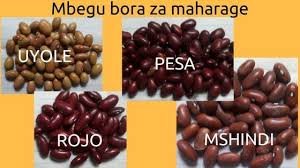 images (7)